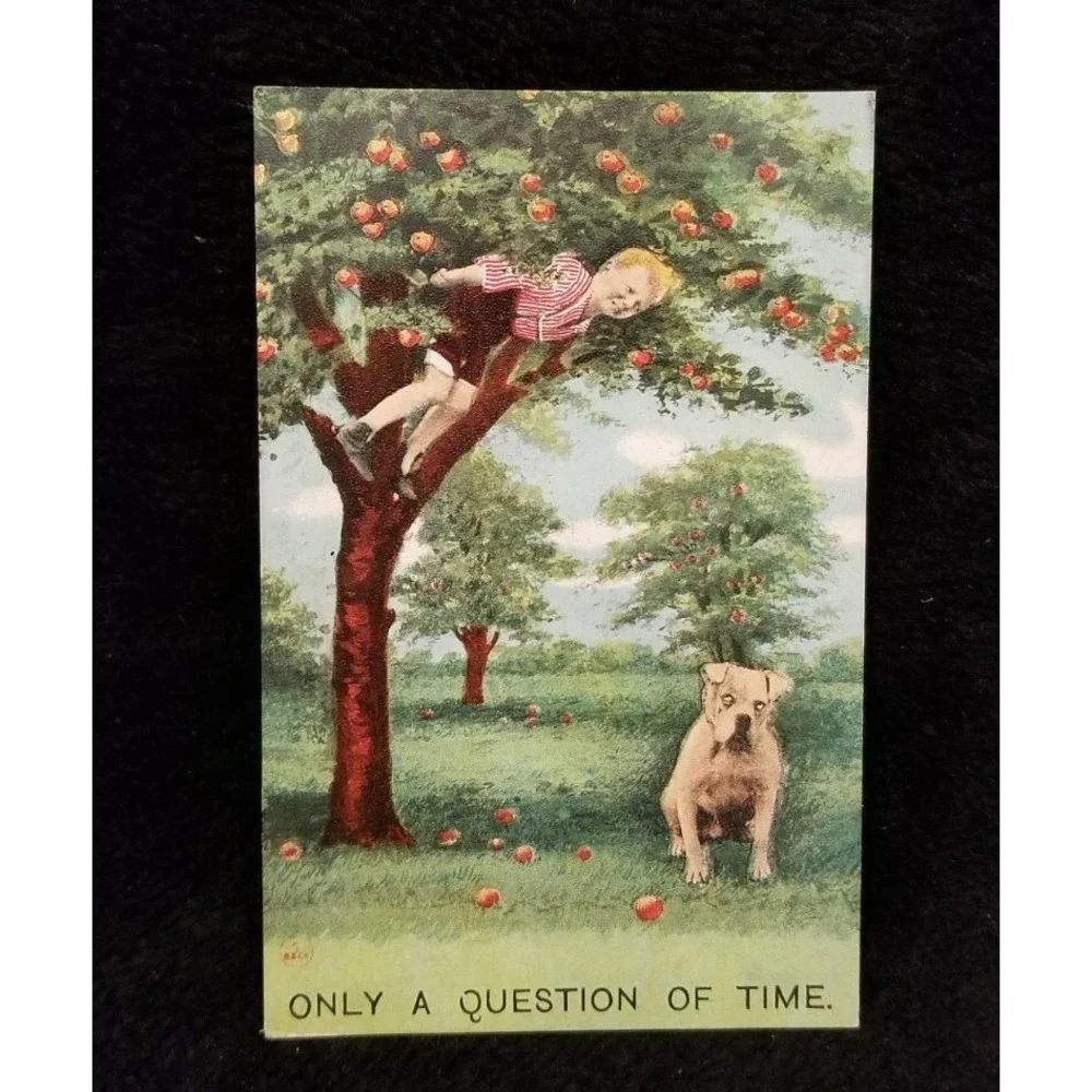 Lot Of 8 Antique Early Bamforth Funny Postcards UNUSED, UNPOSTED‎